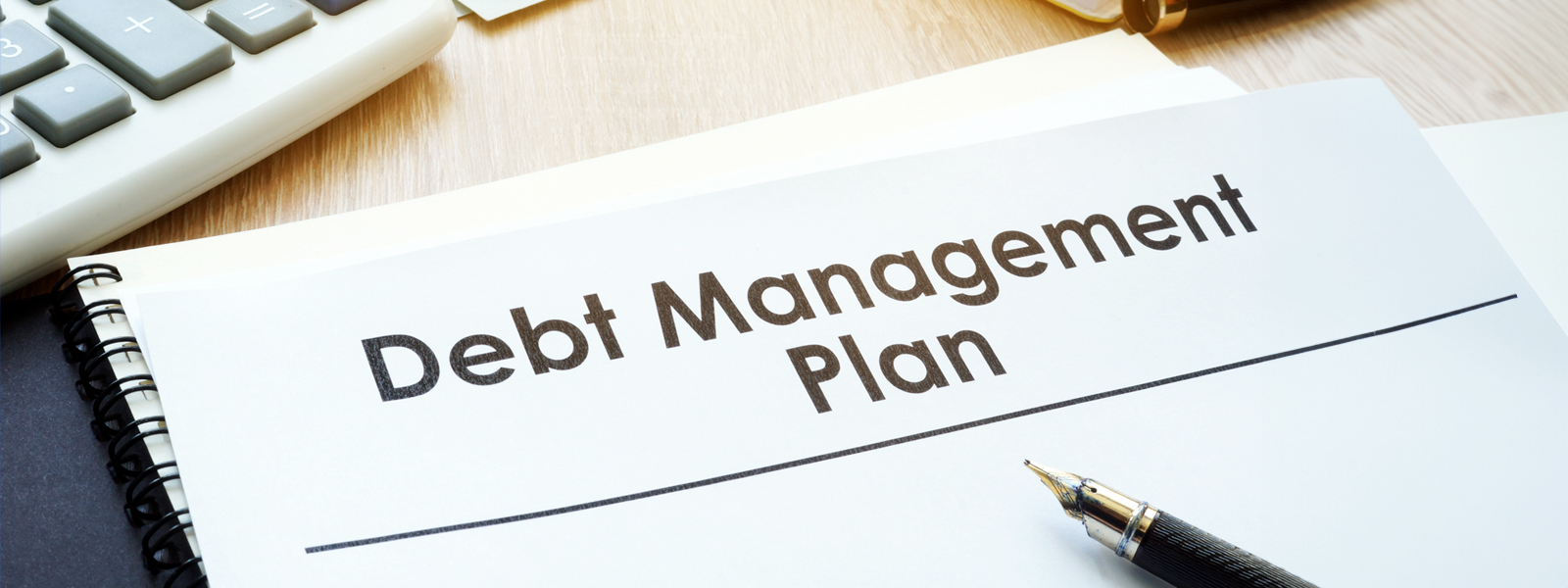 debt_mgt
